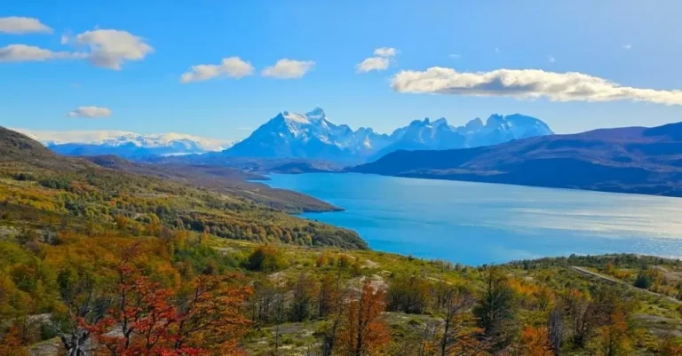 Патагония, Буенос Айрес, Ушуая – величието на дивата природа