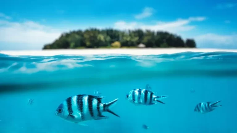 ПОЧИВКА В ЗАНЗИБАР - бижуто на Африка - чартър от София - 7 нощувки