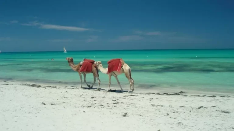 Островно приключение - 7 дни All Inclusive на остров Джерба с полет от София 2026